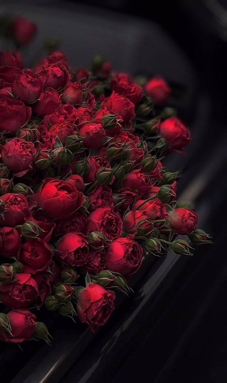 Morning Dew Freshness Floral Medley