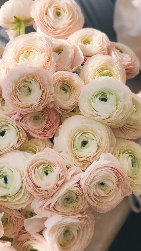 Secret Garden Whimsy Floral Array